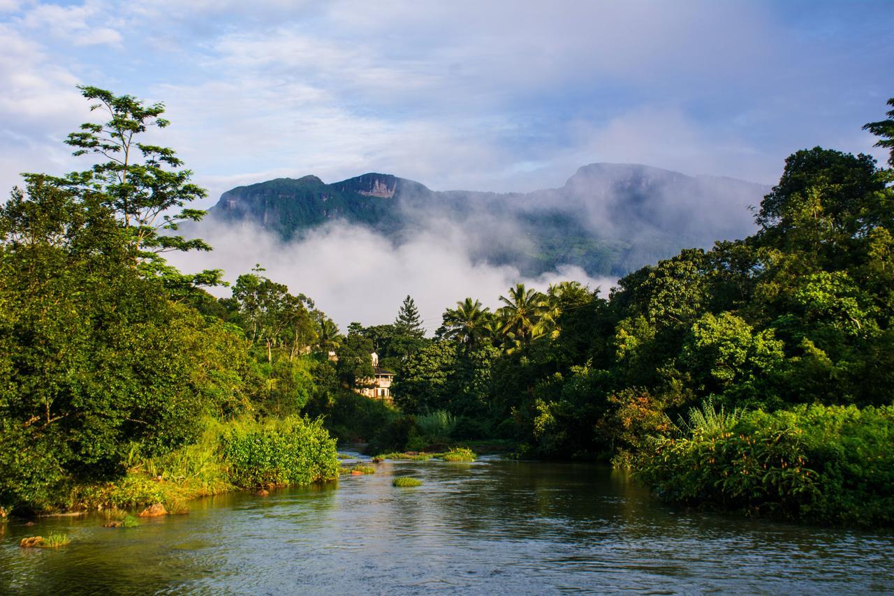 Okwin Resort Kandy Ngoại thất bức ảnh